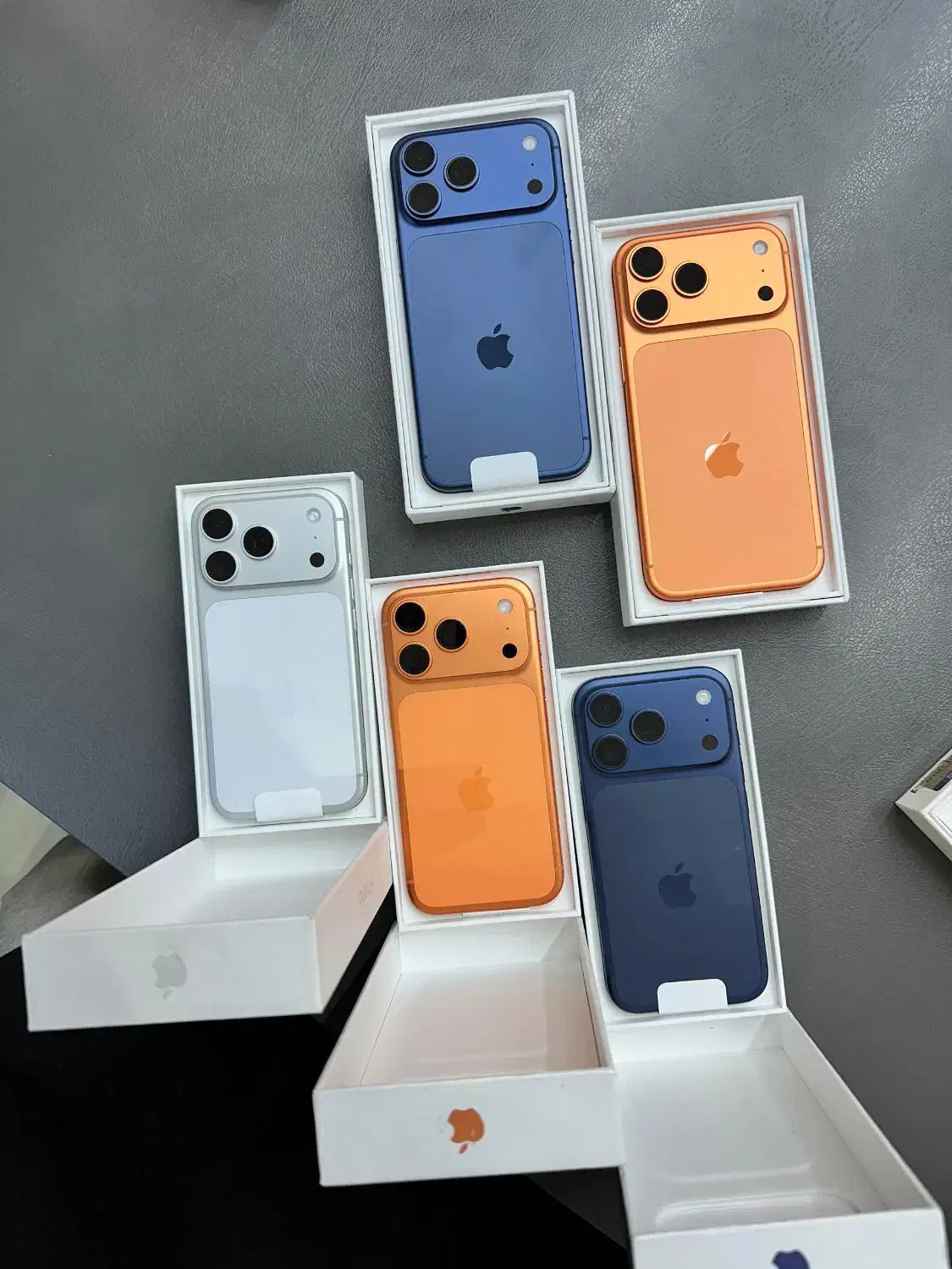 ۱۷ پرو مکس|موبایل|تهران, درختی|دیوار