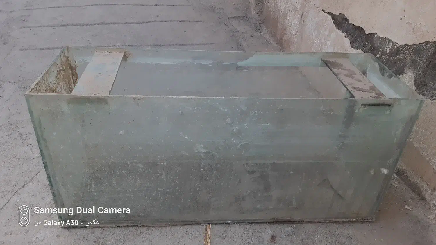 اکفاریوم|لوازم جانبی حیوانات|کاشان, ولی سلطان|دیوار