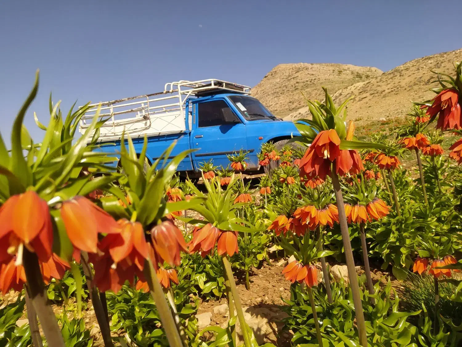 حمل بار به تمام نقاط کشور|خدمات حمل و نقل|یاسوج, |دیوار