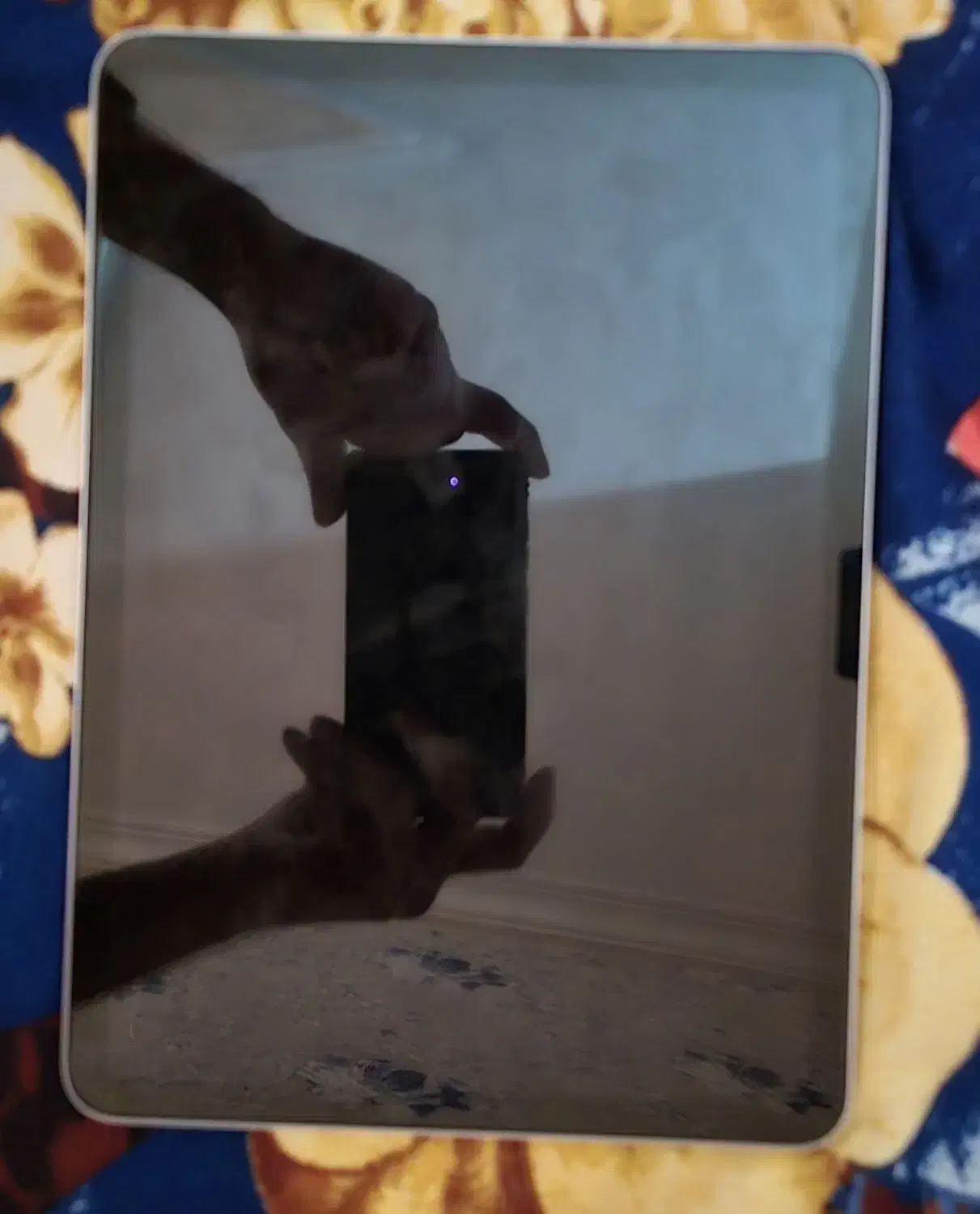 آیپد ایر 2024 m2 128gb|تبلت|بجنورد, |دیوار