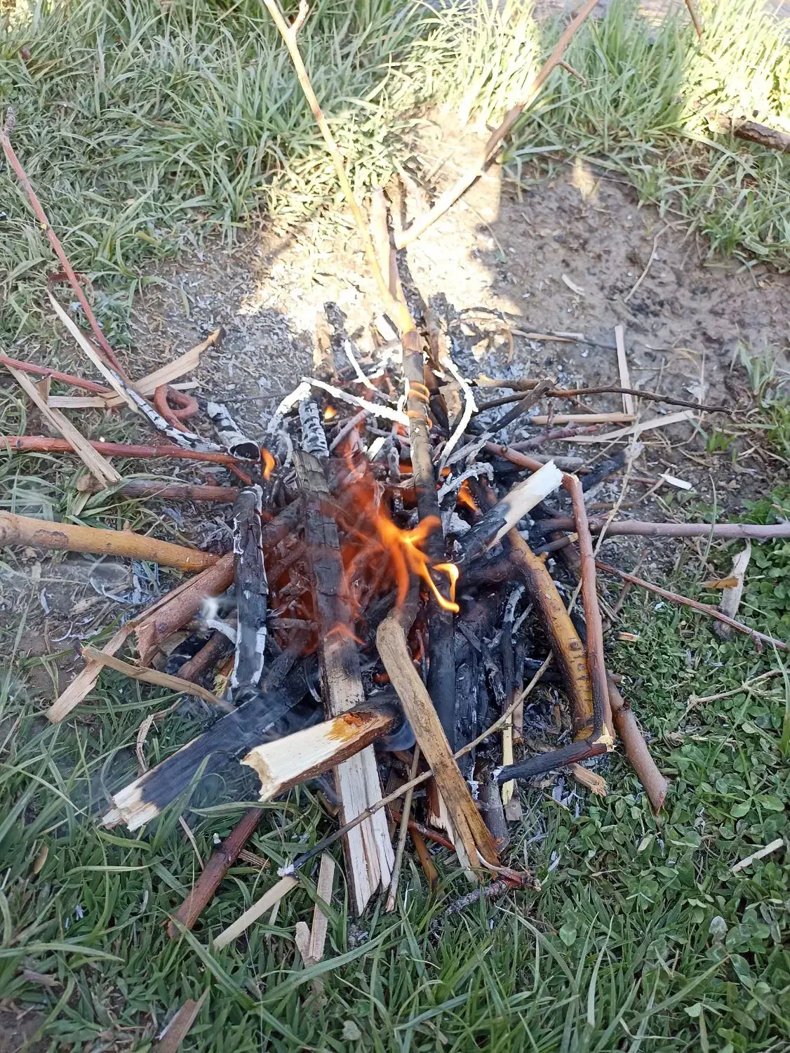 راهنمایی|فعالیت داوطلبانه|بروجرد, |دیوار