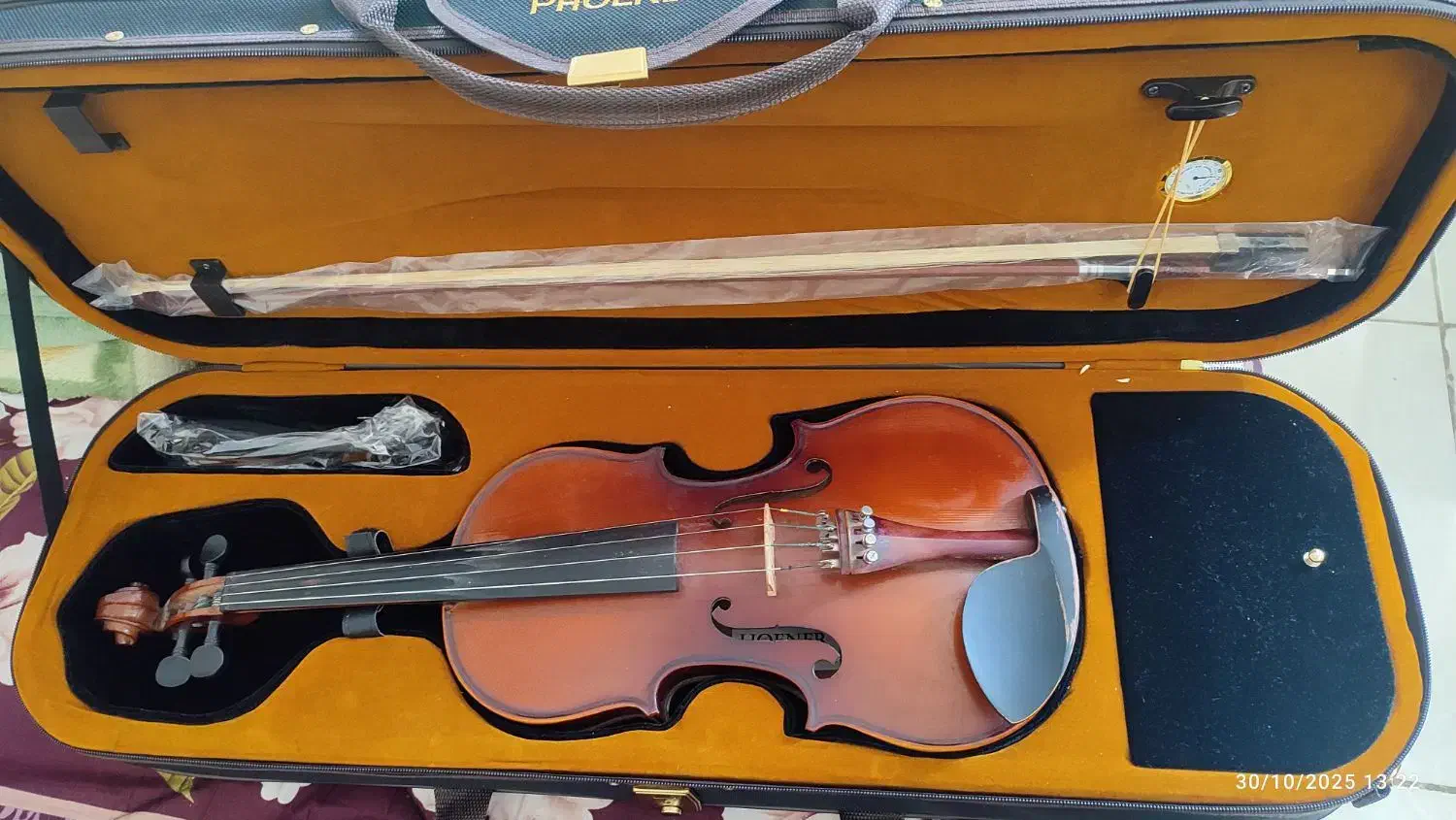 ویالن|ویولن|بندرعباس, |دیوار