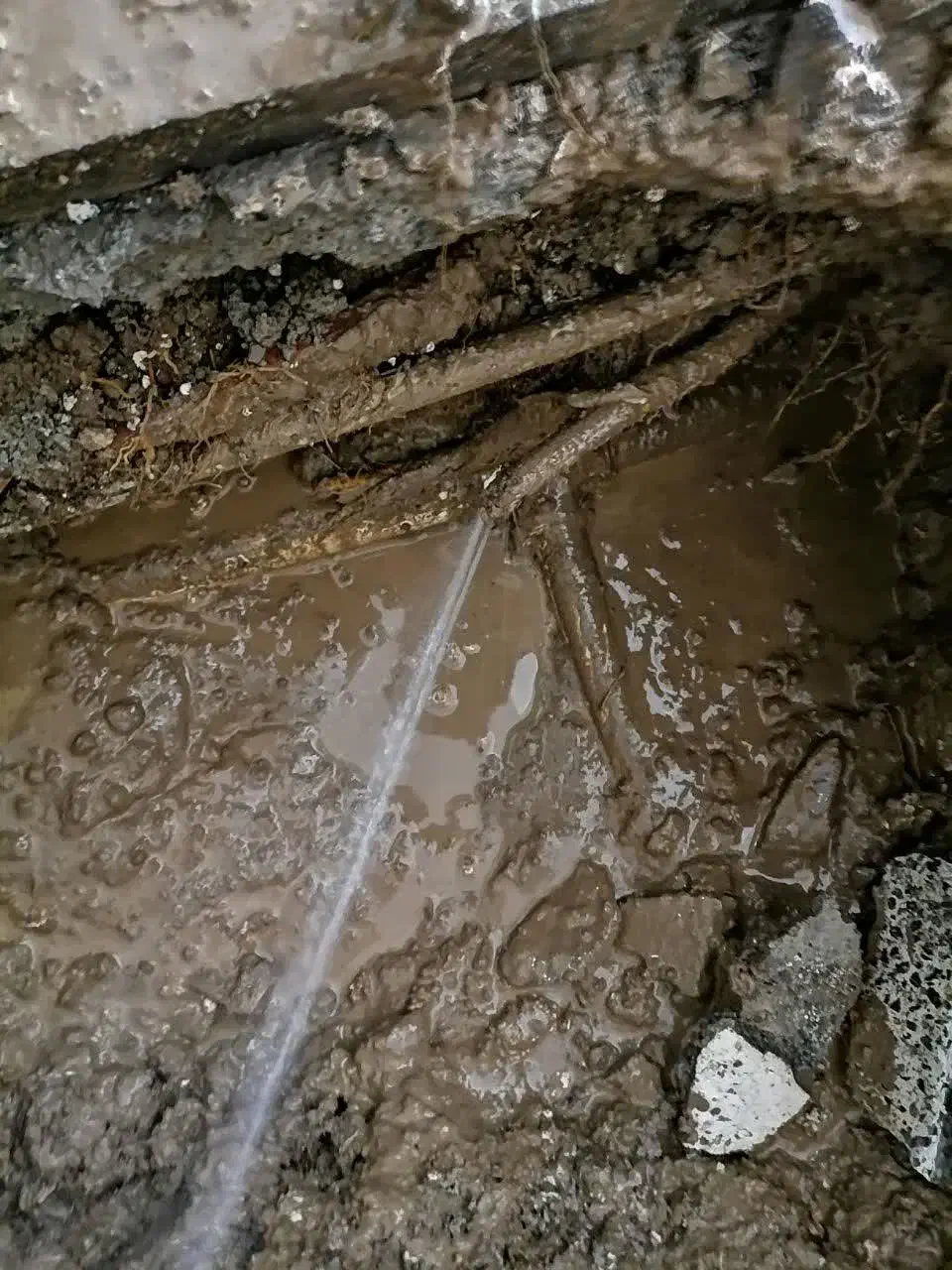 نشت یابی لوله آب|خدمات پیشه و مهارت|محمدشهر, محمدشهر|دیوار