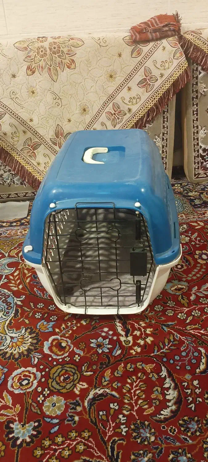 باکس حمل سگ یا گربه سالم ( صباشهر)|لوازم جانبی حیوانات|صباشهر, |دیوار