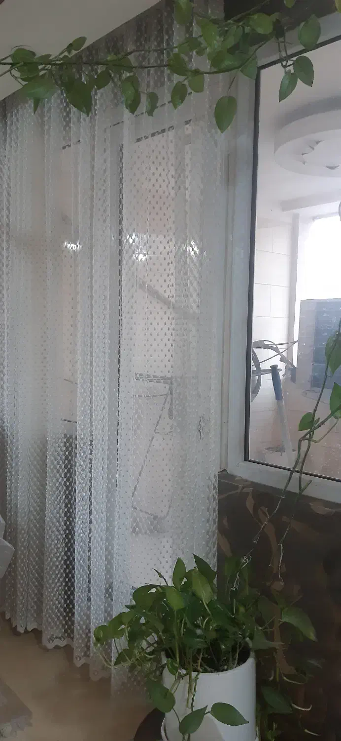 پرده سفید رنگ|پرده، رانر، رومیزی|اهواز, کیان اباد|دیوار