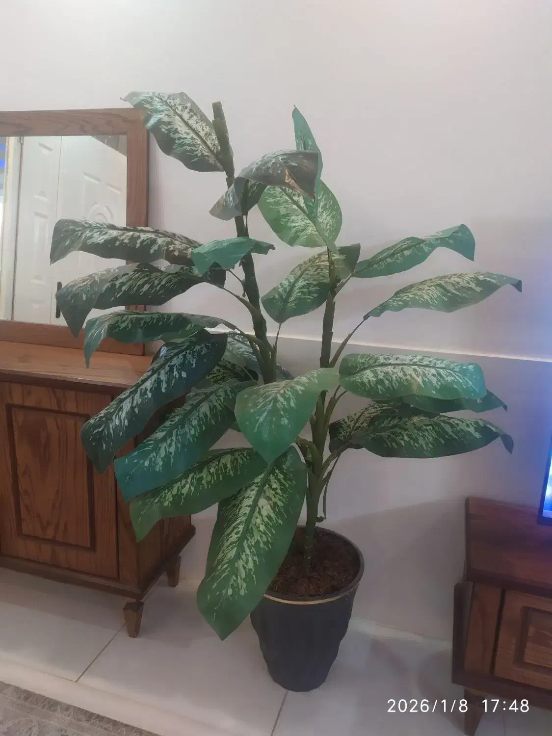 درخچه مصنوعی همراه گلدان|گل مصنوعی|قوچان, |دیوار