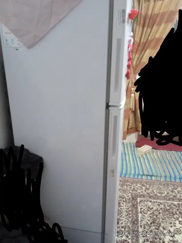 یخچال بست|یخچال و فریزر|جلگه ماژان, |دیوار