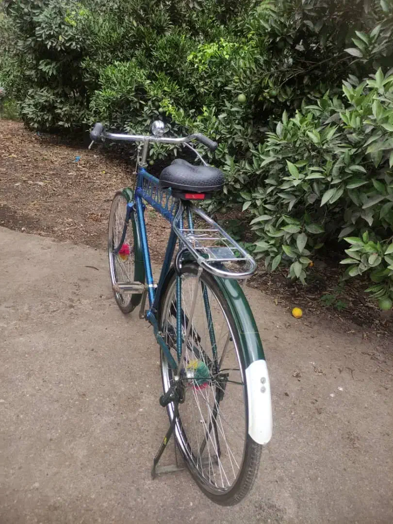 دوچرخه سایز۲۸|دوچرخه، اسکیت، اسکوتر|رودبنه, |دیوار