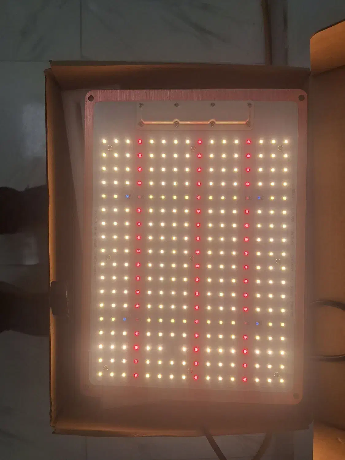 پنل رشد گیاه|گل و گیاه طبیعی|رشت, حاجی آباد|دیوار