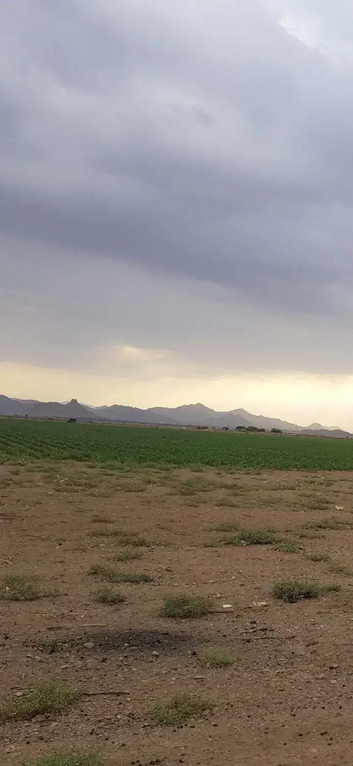 زمین مزروعی با سهمیه آب|فروش دفتر صنعتی، کشاورزی، تجاری|شاهین‌شهر, مورچه خورت|دیوار
