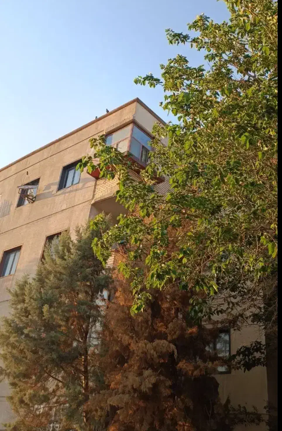 هزار واحدی ۵۷متری|فروش آپارتمان|محمدشهر, هزار واحدی|دیوار