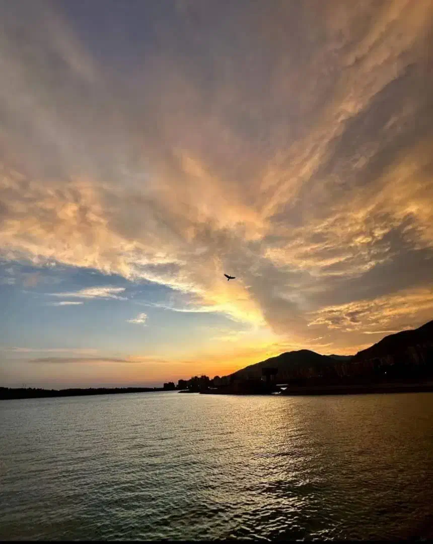 فروشواحدهایلاکچریدرسراسر چیتگر و مرزداران|فروش آپارتمان|تهران, مروارید شهر|دیوار