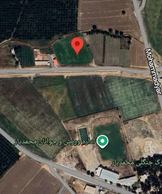 زمین کشاورزی ۶۵۰۰ متری با سند تکبرگ در محمدیار|فروش زمین و ملک کلنگی|نقده, |دیوار