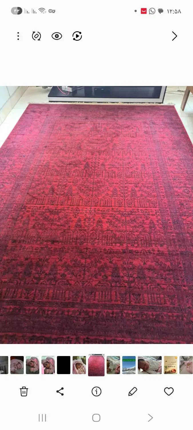 فرش دونه اناری|فرش|تهران, مهران (سیدخندان)|دیوار