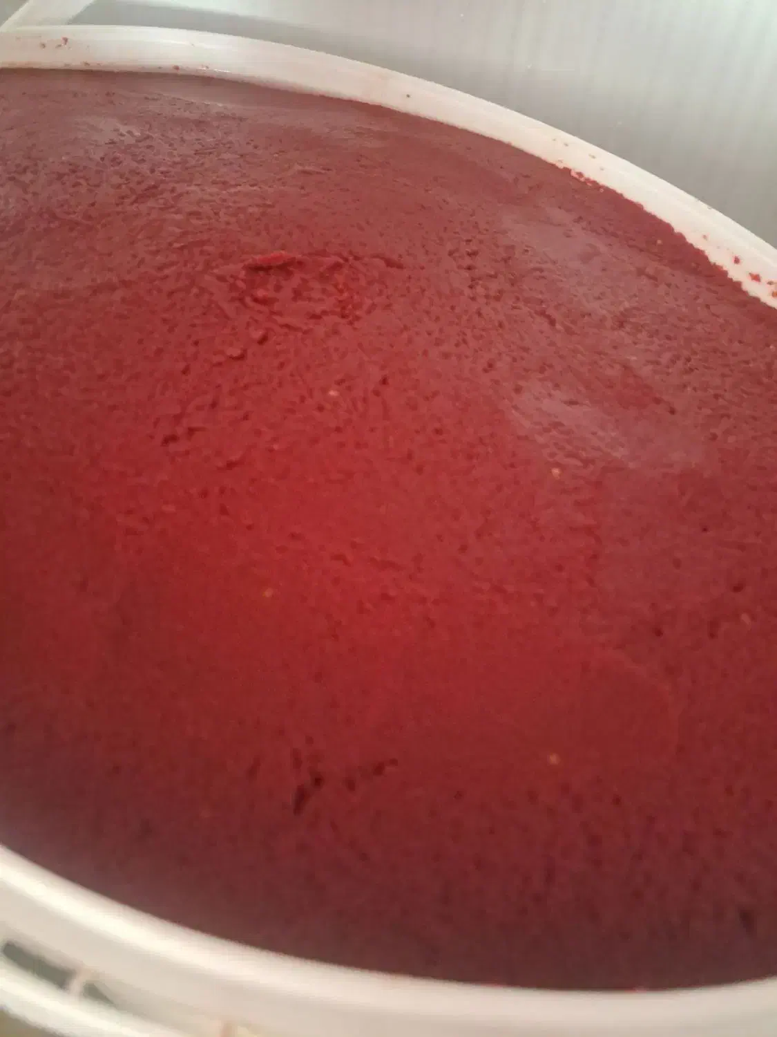 رب محلی ولوبیا|خوردنی و آشامیدنی|بجنورد, |دیوار