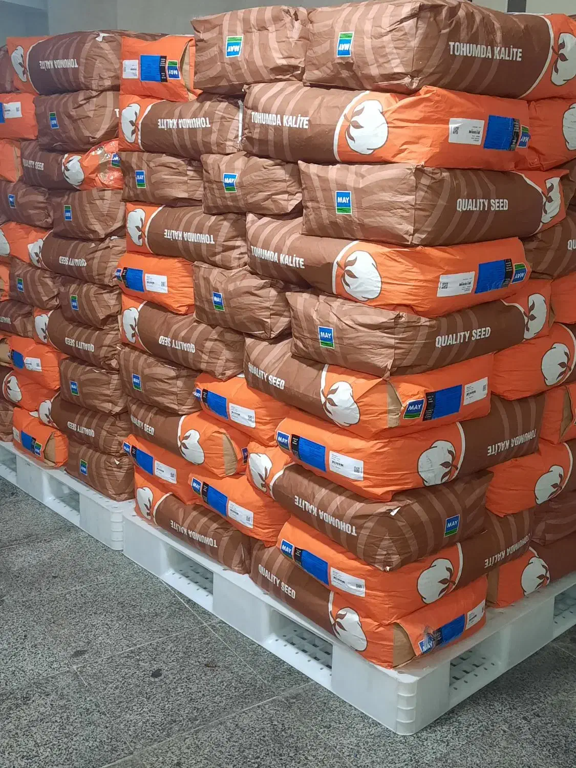 پذر پنبه مای وارداتی|عمدهفروشی|پارسآباد, |دیوار