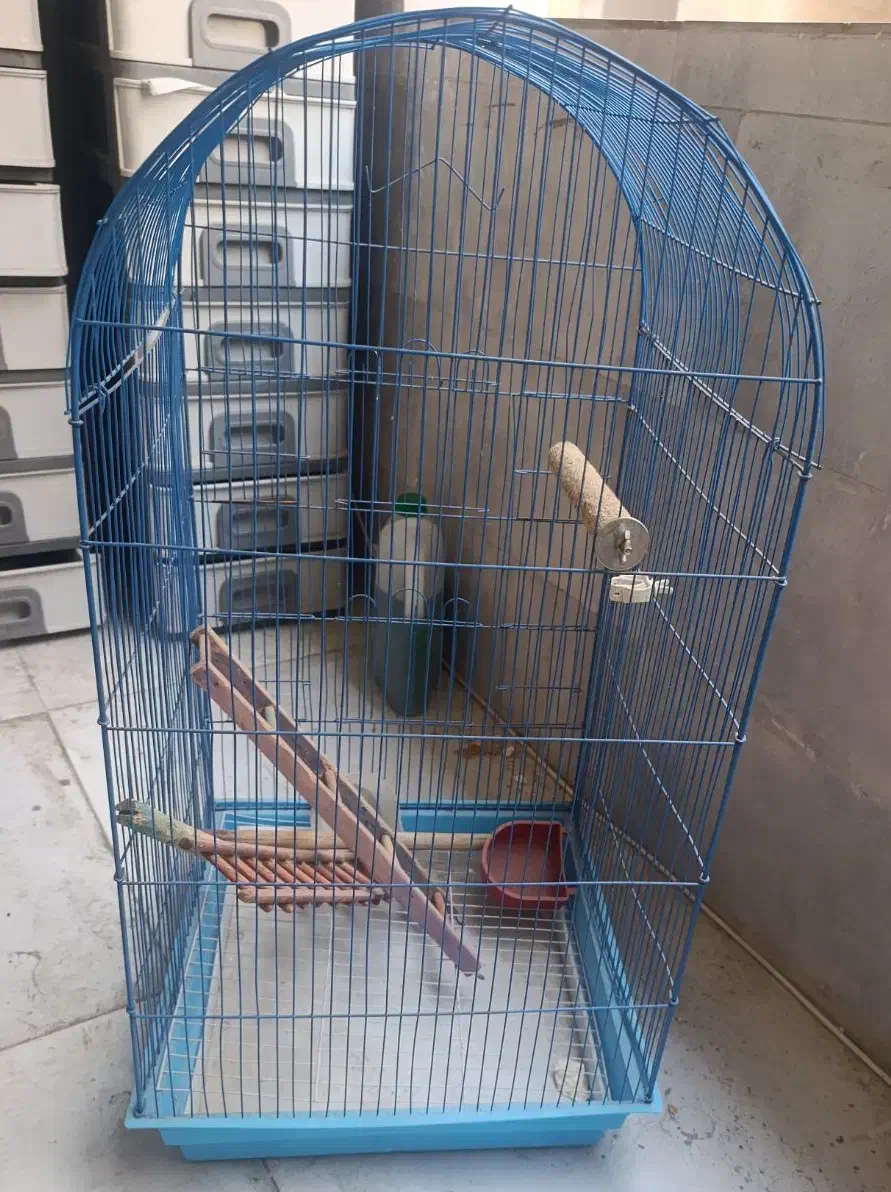 قفس پرنده|لوازم جانبی حیوانات|شهریار, شهرک شاهد|دیوار