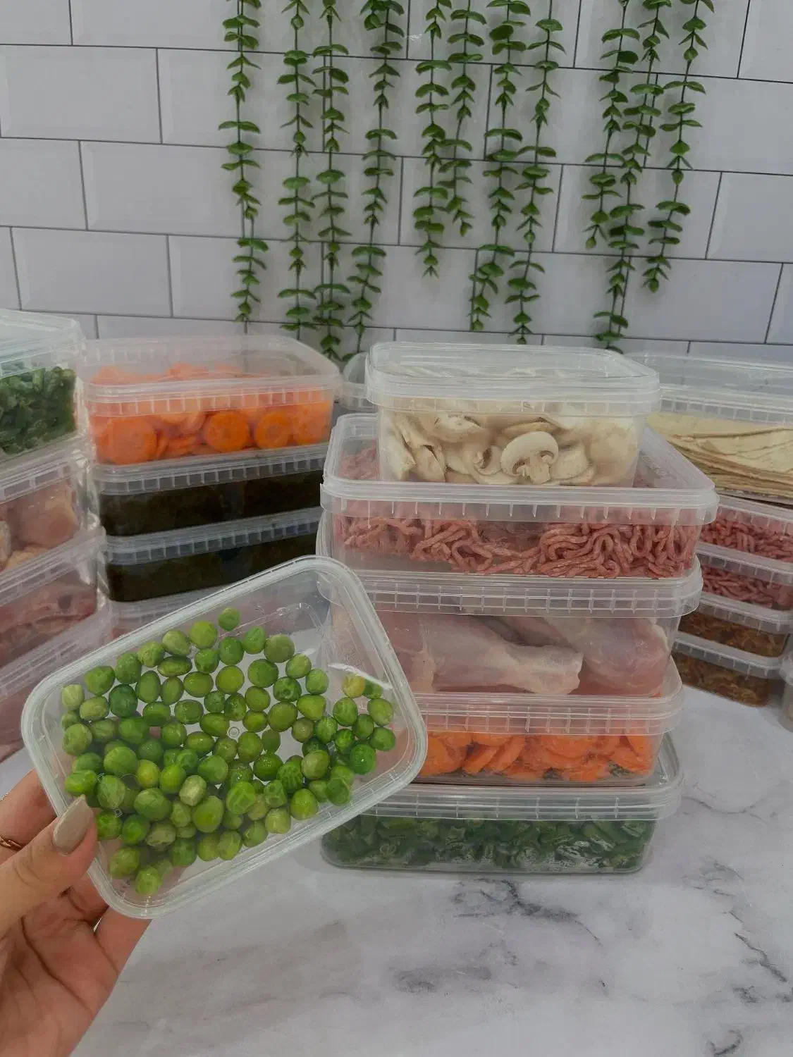 ظرف فریزری درب دار به قمیت کارخانه|ظروف نگهدارنده، پلاستیکی، یکبارمصرف|کازرون, |دیوار