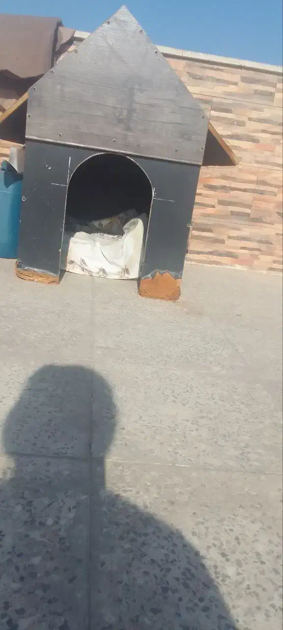 لانه چوبی|لوازم جانبی حیوانات|محمدشهر, محمدشهر|دیوار