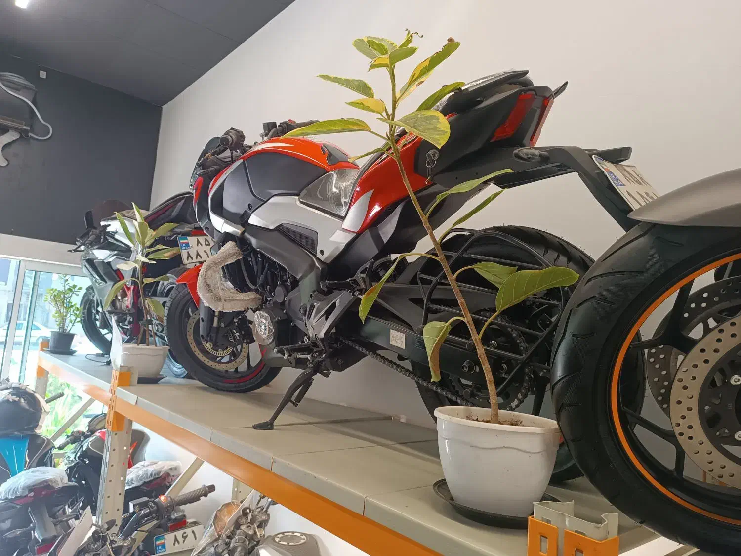 دومینار ۲۵۰باجاج ان اسNS250(ماهان سیکلت)|موتورسیکلت|مشهد, دانشجو|دیوار