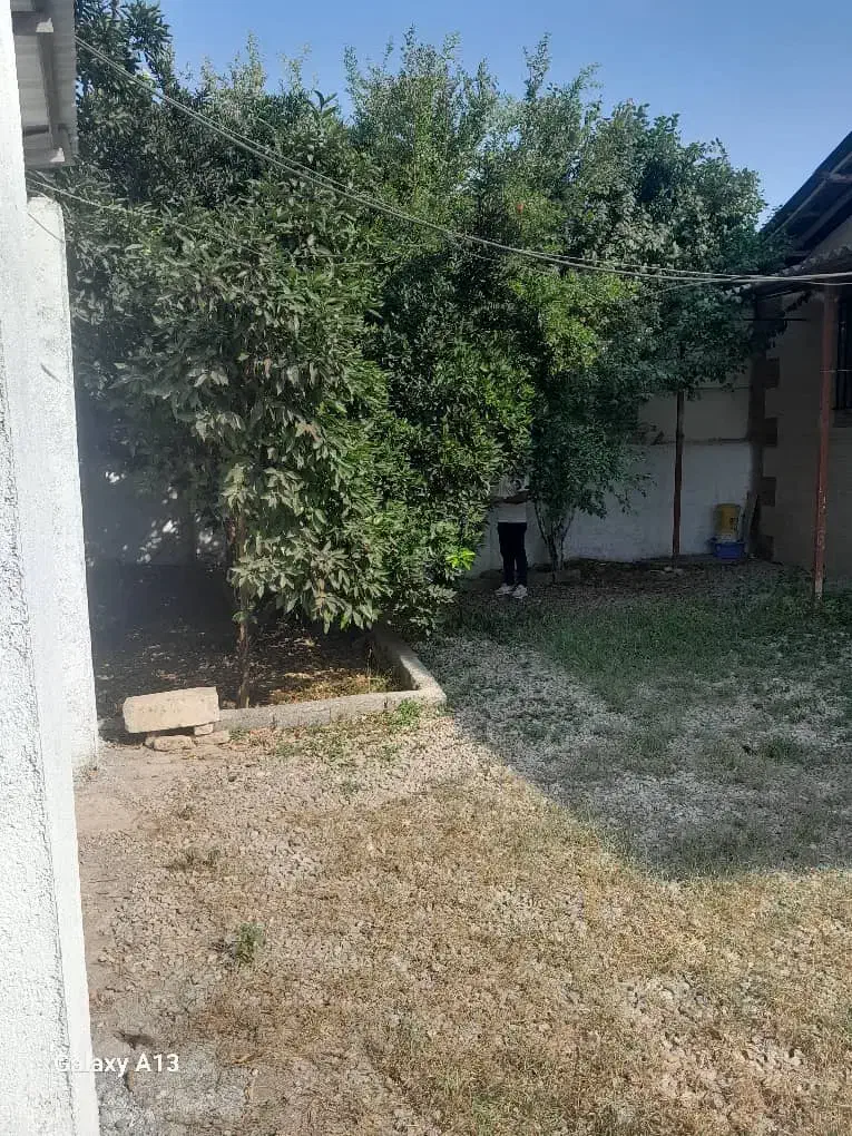 خانه ویلای|فروش خانه و ویلا|کیاکلا, |دیوار