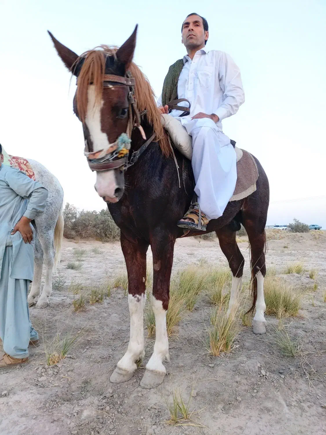 کرنک چهار قلم سفید یورقه|اسب و تجهیزات اسبسواری|ملکآباد, |دیوار