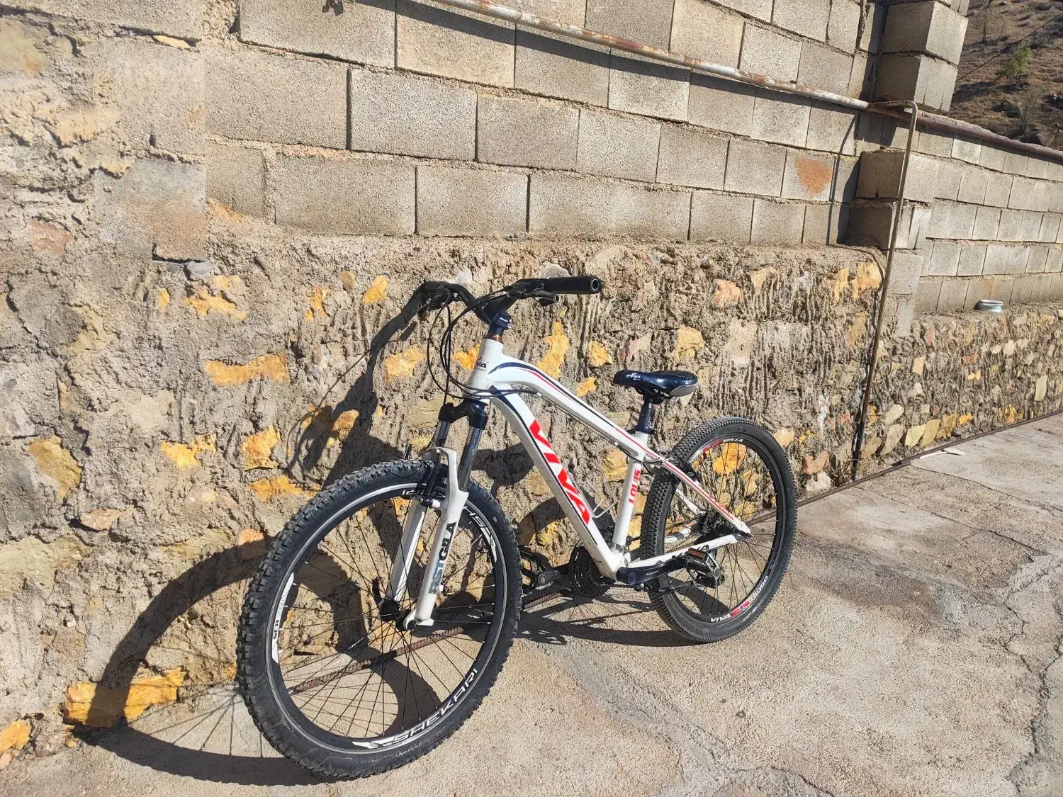 دوچرخه|دوچرخه، اسکیت، اسکوتر|پاتاوه, |دیوار