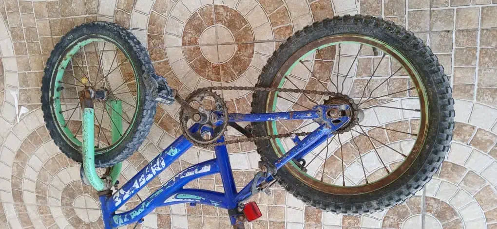 فروش دوچرخه ۱۶|دوچرخه، اسکیت، اسکوتر|بندر کنگان, |دیوار