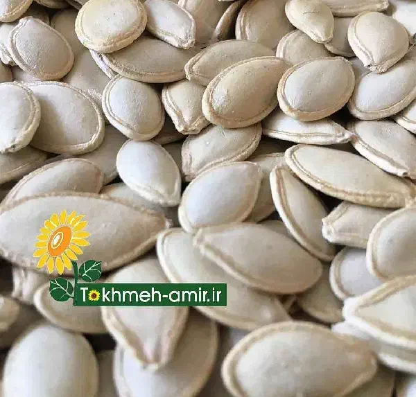 تخمه کدو گوشتی فوق اعلا|خوردنی و آشامیدنی|قره ضیاالدین, |دیوار