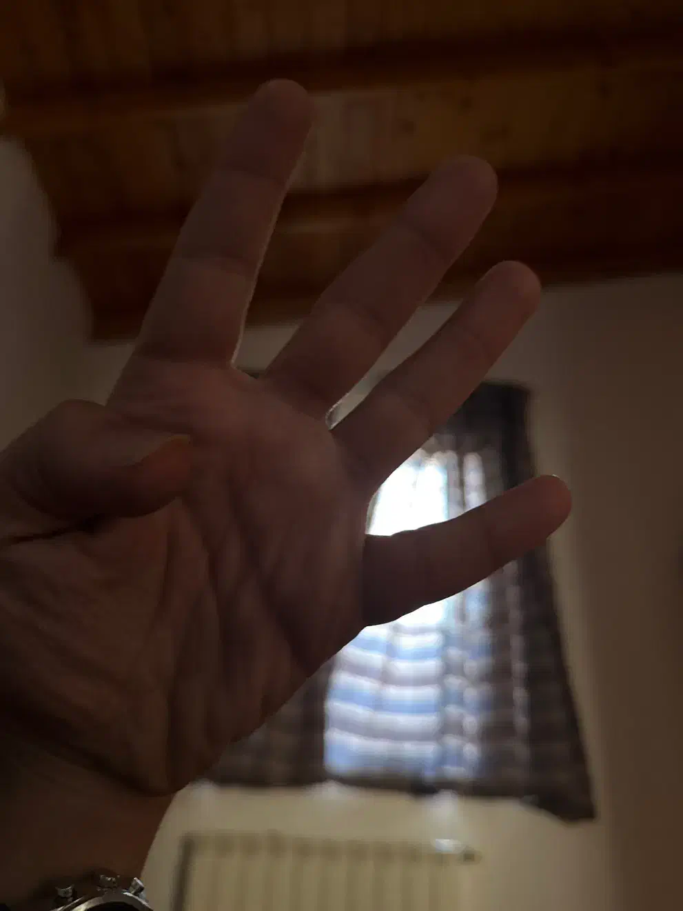 بلیط کنسرت مجید رضوی ۴ عدد vip|بلیت کنسرت|تاکستان, |دیوار