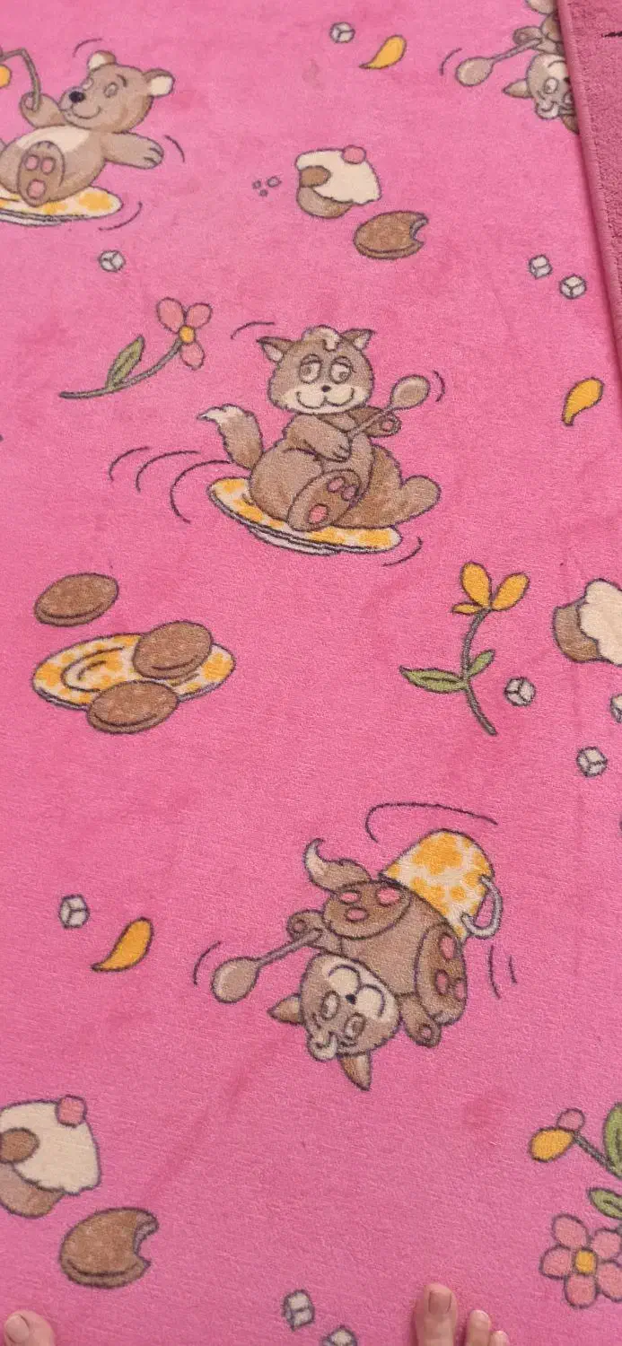 موکت وگلیم فرش|موکت|کرمانشاه, |دیوار