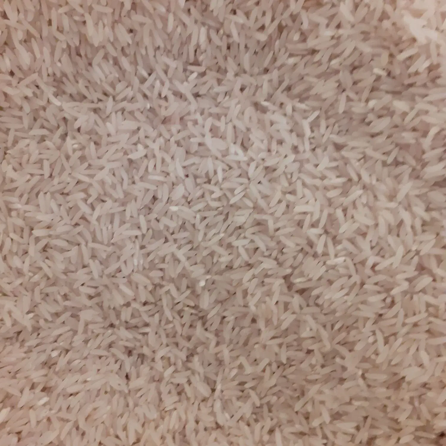 برنج هاشمی  خوش پخت|خوردنی و آشامیدنی|رشت, خمیران زاهدان|دیوار