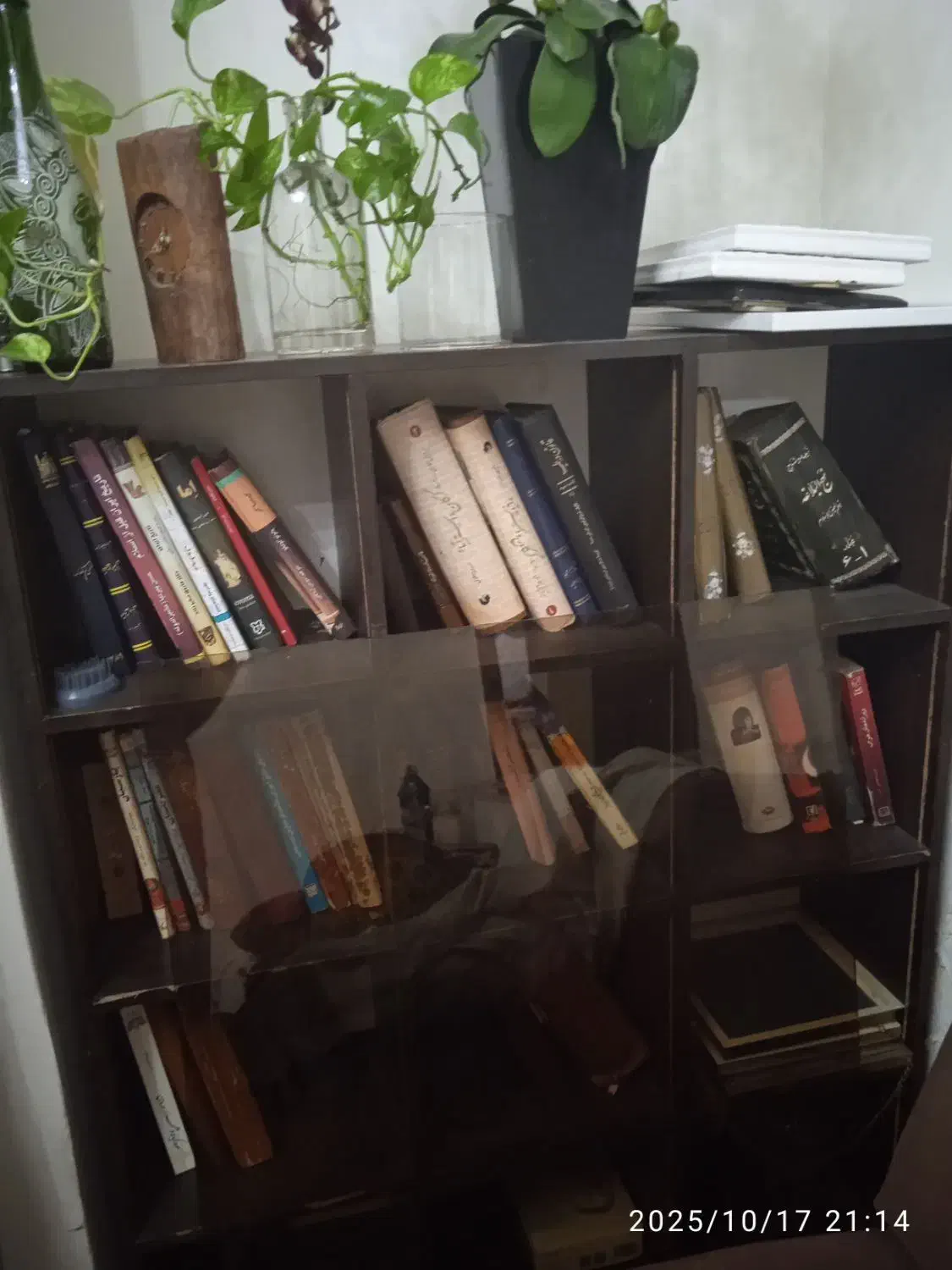 کتابخونه|کتابخانه، شلف، قفسه‌های دیواری|گرگان, |دیوار