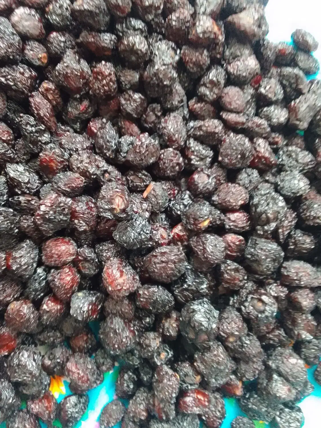 گیلاس خشک تازه امسال|خوردنی و آشامیدنی|بوکان, |دیوار