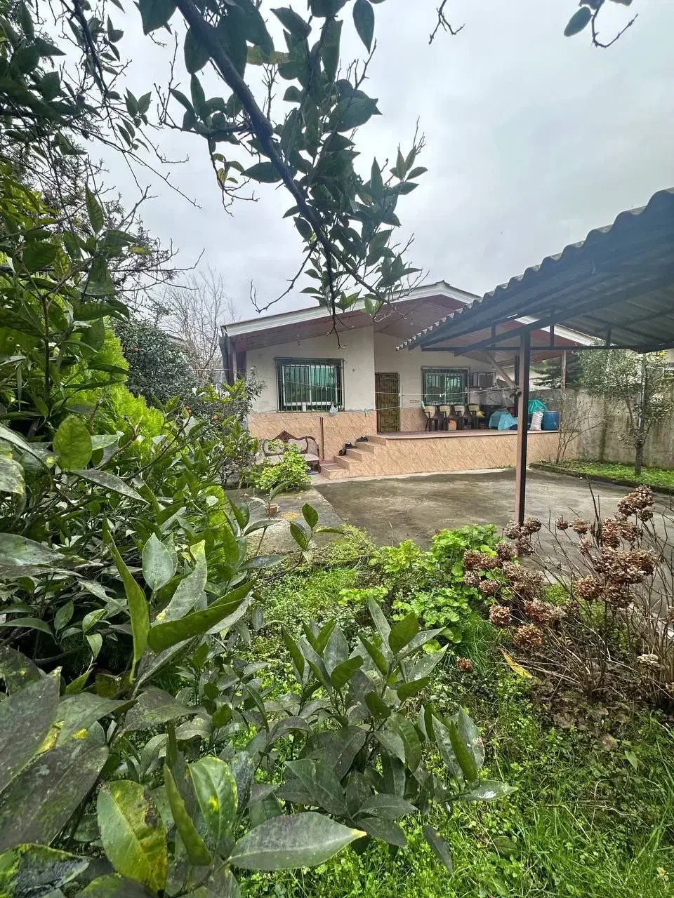 ویلا باغ قدیمی خونه مامان بزرگه ۳۳۰ متری|فروش خانه و ویلا|چمستان, |دیوار