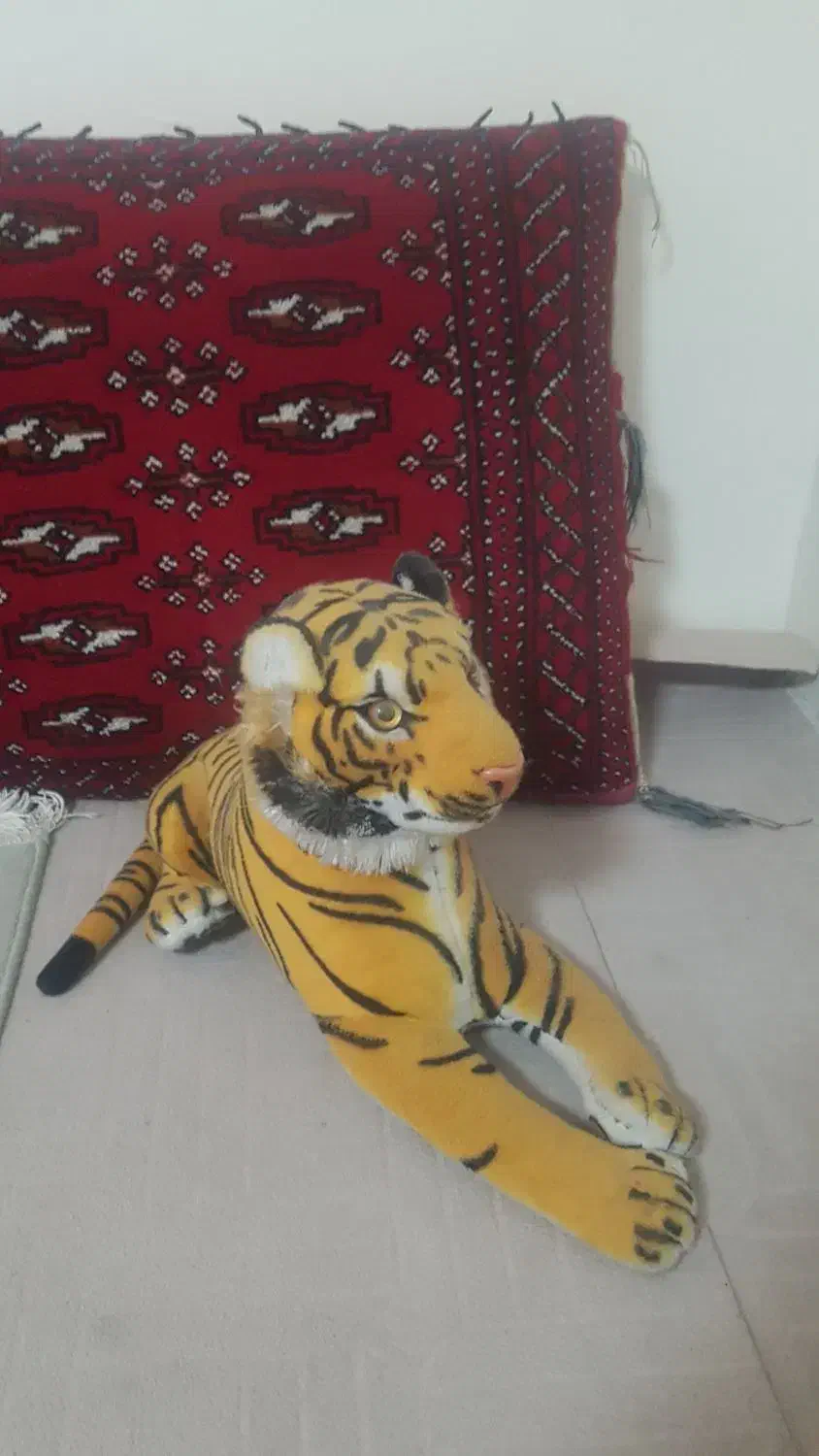 ببر سالم زیبا|اسباببازی|رباطکریم, شهرک درخشان|دیوار