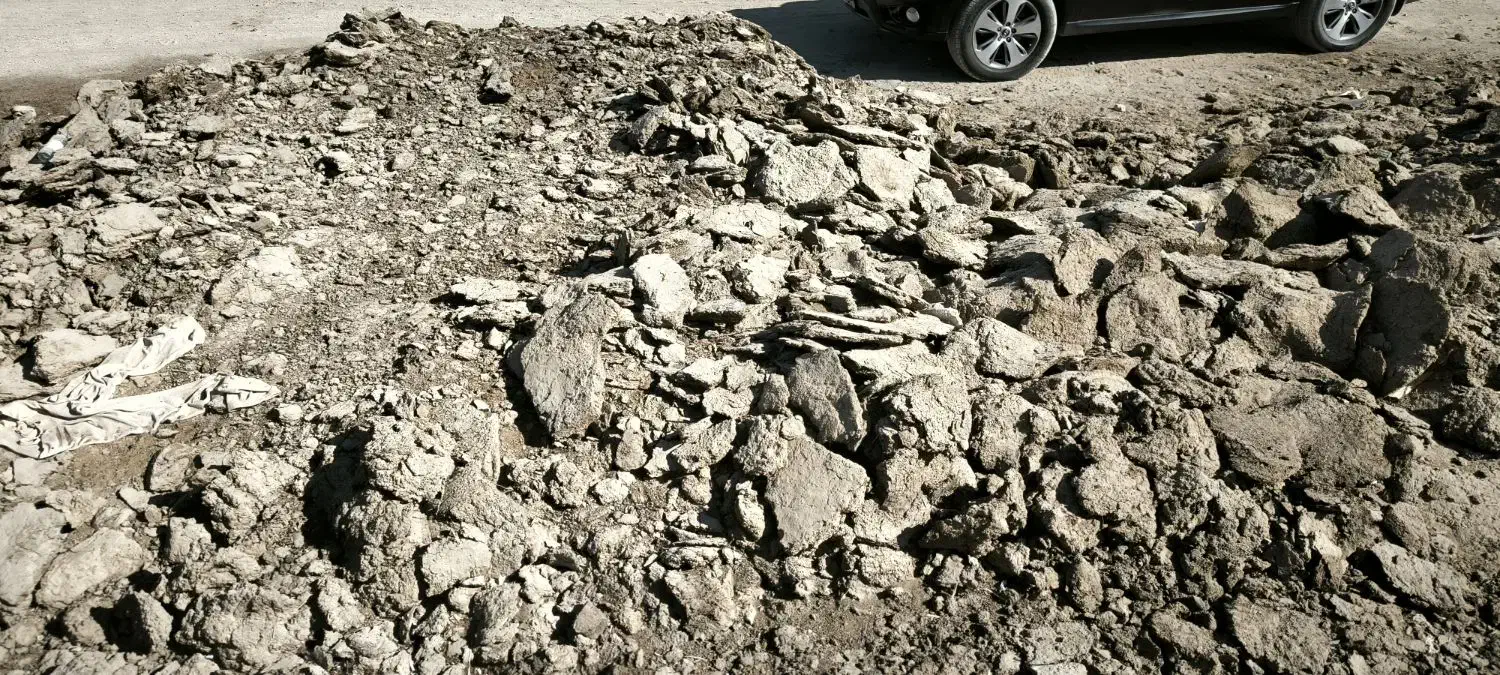 کود گوسفندی|خدمات باغبانی و درختکاری|اصفهان, خاتونآباد|دیوار