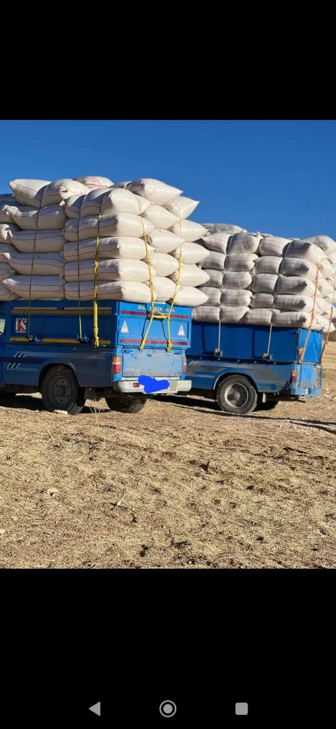 نهاده‌های‌دامی|گل و گیاه طبیعی|رشت, چله خانه|دیوار