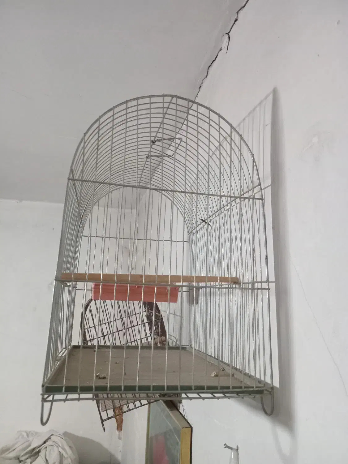 قفس سهره قدیمی|لوازم جانبی حیوانات|پاکدشت, پاکدشت (مامازند)|دیوار