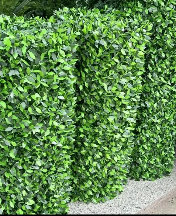 فنس چمنی|حراج|مریوان, |دیوار