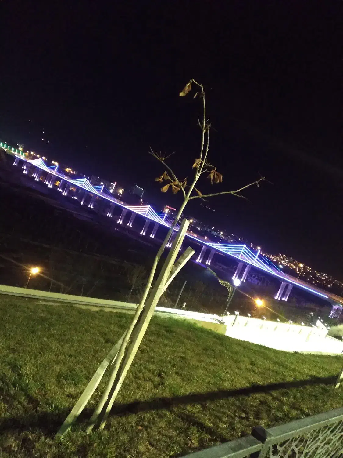 اجتماعی نیرو|گردهمایی و همایش|خمینیشهر, |دیوار