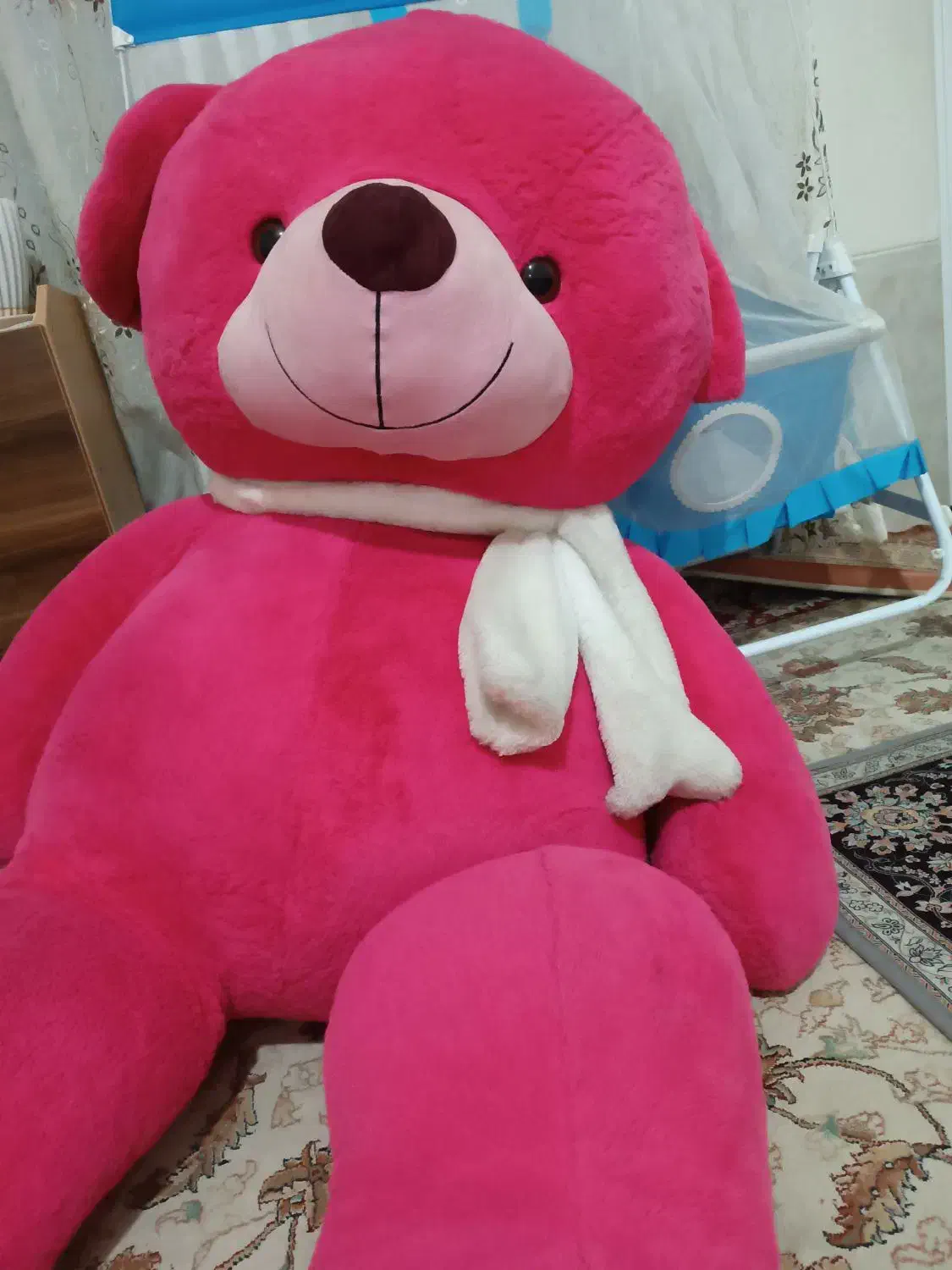 خرس بزرگ|اسباب‌‌بازی|شیراز, محراب|دیوار