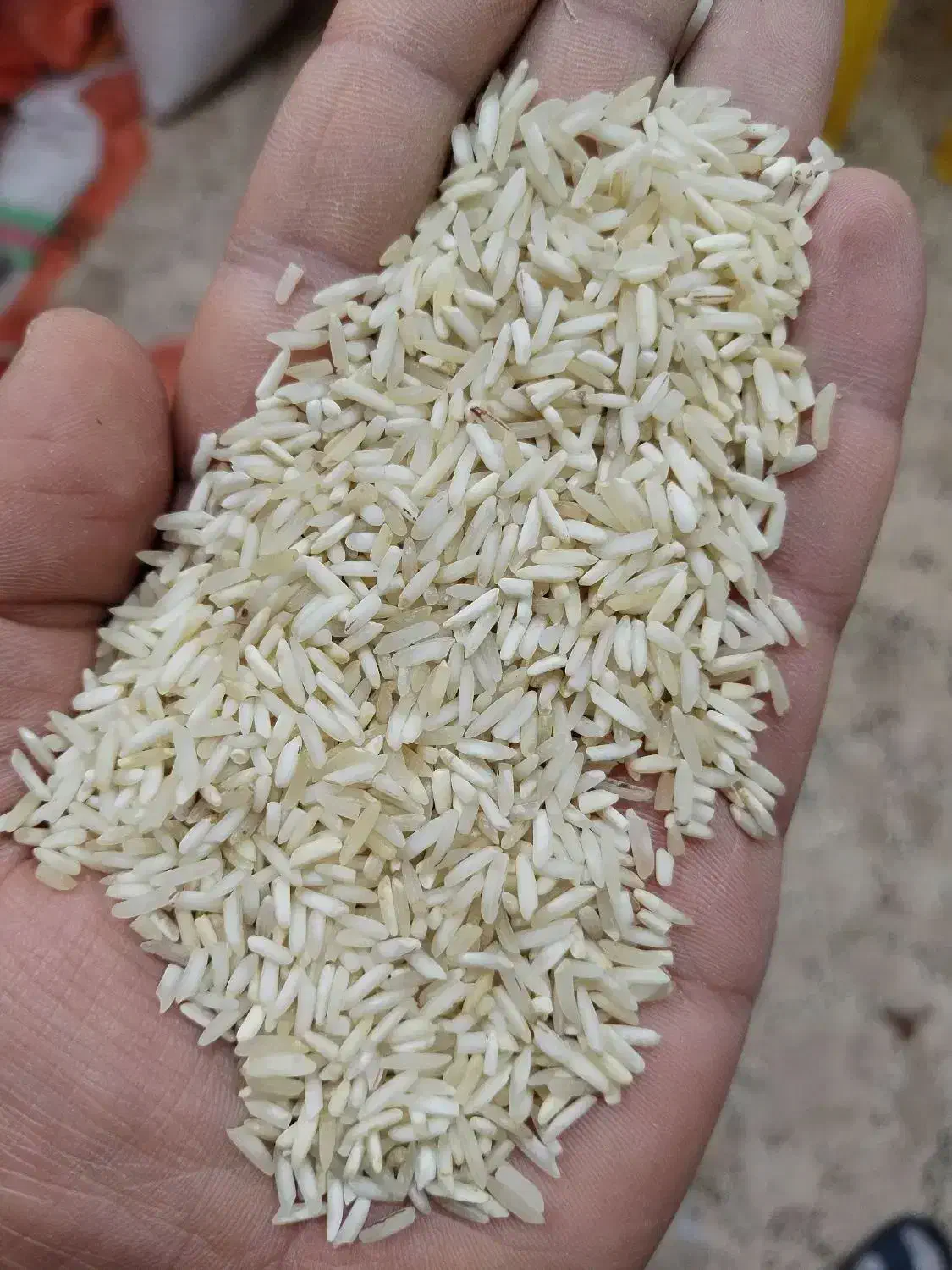 برنج شیرودی دودی|خوردنی و آشامیدنی|رشت, جانبازان|دیوار