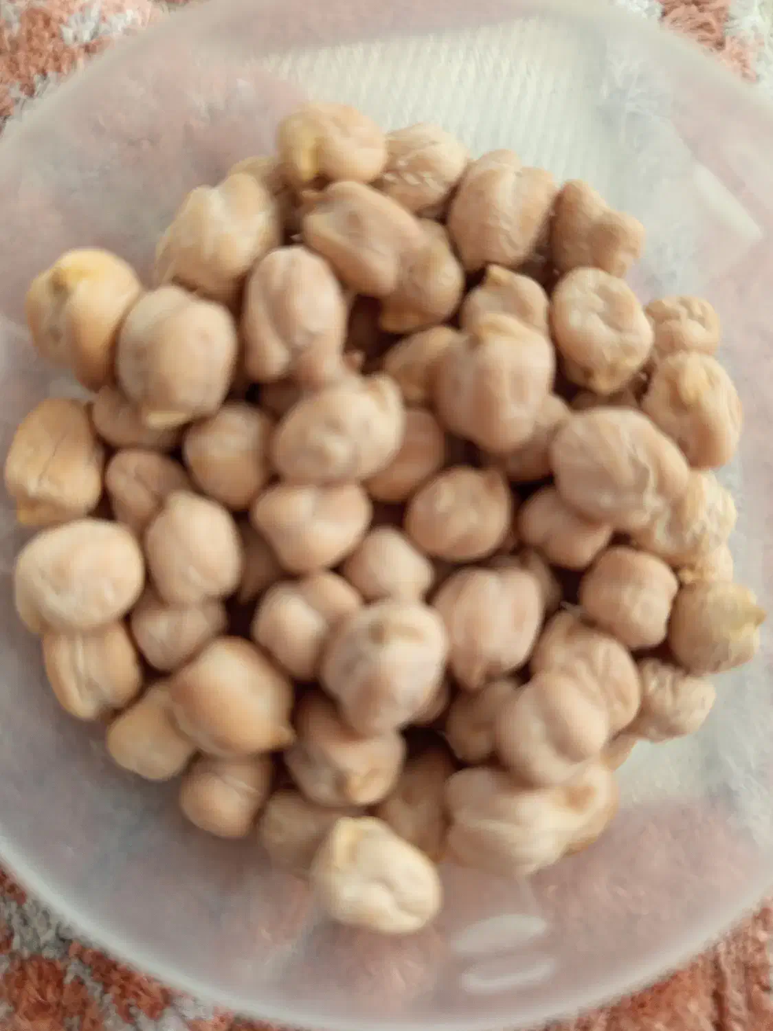 نخود دیم بهاره|خوردنی و آشامیدنی|سرپل ذهاب, |دیوار