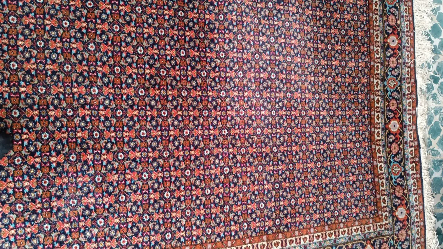 فرش دستبافت|فرش|پارس‌آباد, |دیوار