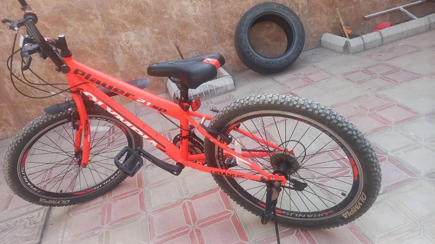 دوچرخه دنده ای المپیا. پــلـاس. سایز 24|دوچرخه، اسکیت، اسکوتر|بیرجند, |دیوار