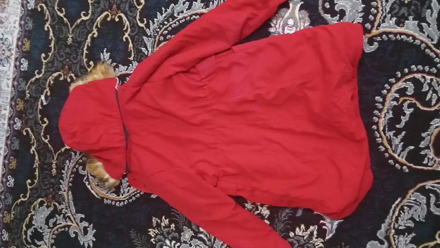 پالتو(کاپشن) زنانه|لباس|رامهرمز, |دیوار