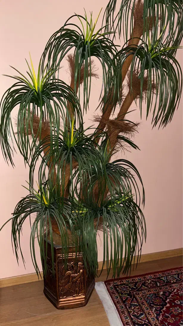 درخت نخل مصنوعی|گل مصنوعی|تهران, شهرک محلاتی|دیوار