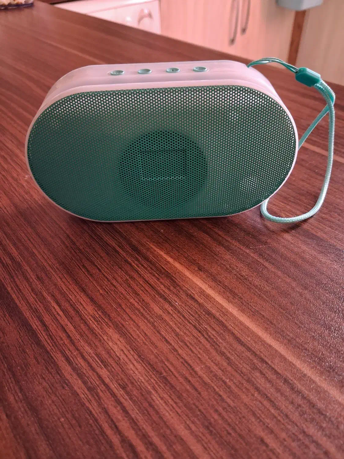 اسپیکر بلوتوثی مسافرتی|سیستم صوتی خانگی|فردیس, نسترن غربی|دیوار