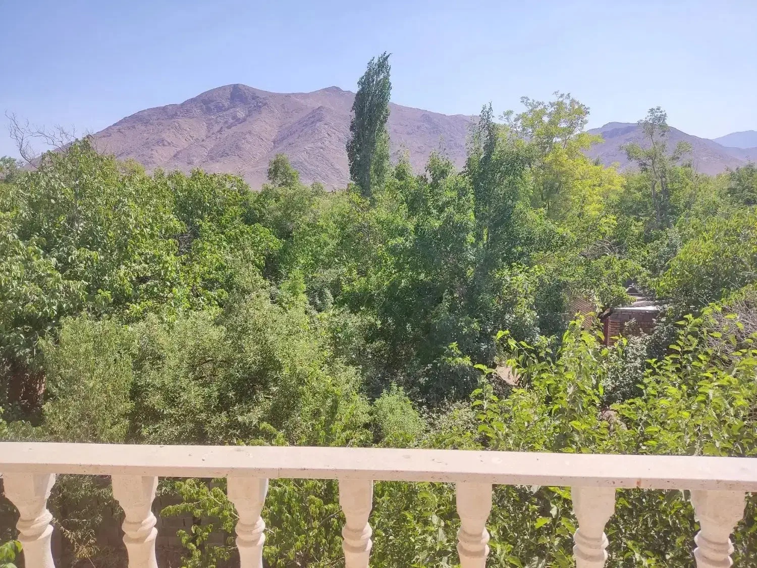 فروش خانه باغ نصرآباد تفت|فروش خانه و ویلا|تفت, |دیوار